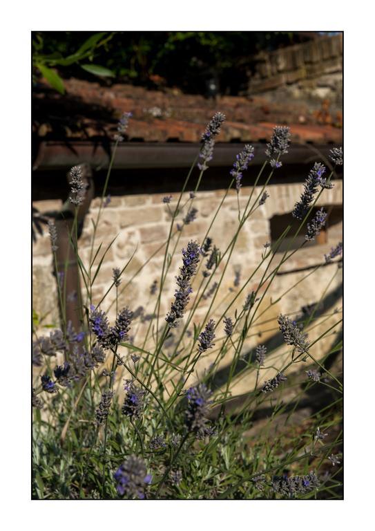 Casale Virgili Bed & Breakfast Siena